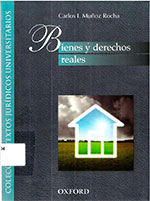 06_bienes-y-derechos